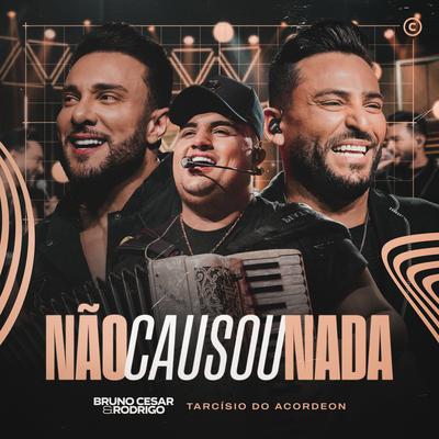 Não Causou Nada (Ao Vivo)'s cover