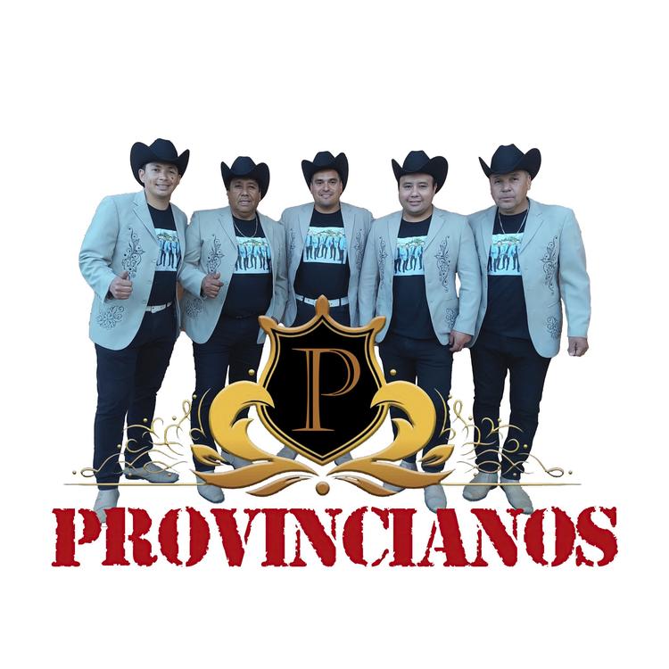 Los Provincianos del Choapa's avatar image