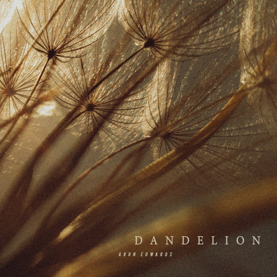 Danderlion By Aron Edwards's cover