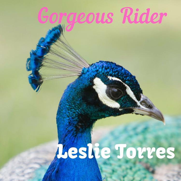 Leslie Torres's avatar image