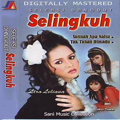 Seleksi Dangdut Selingkuh's cover