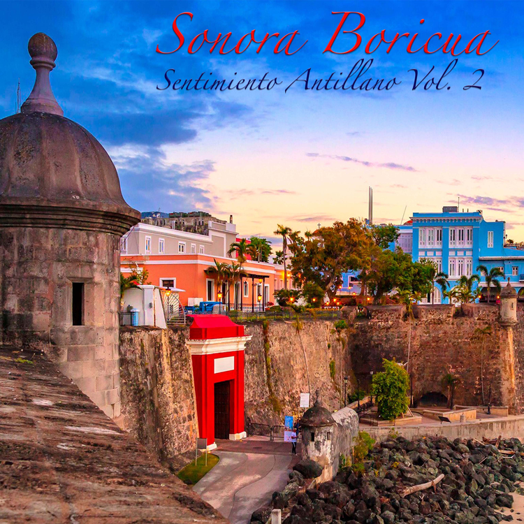 Sonora Boricua's avatar image