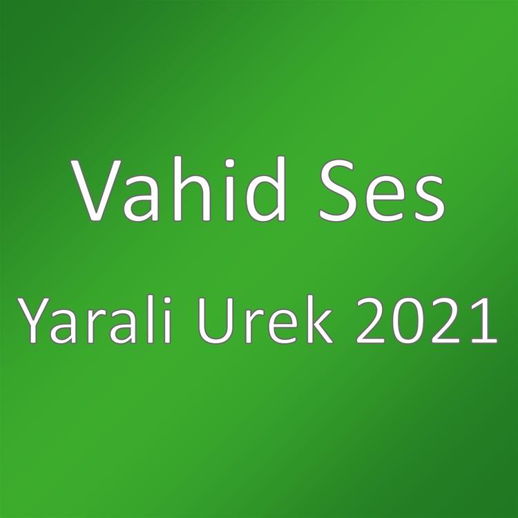 Vahid Ses's avatar image