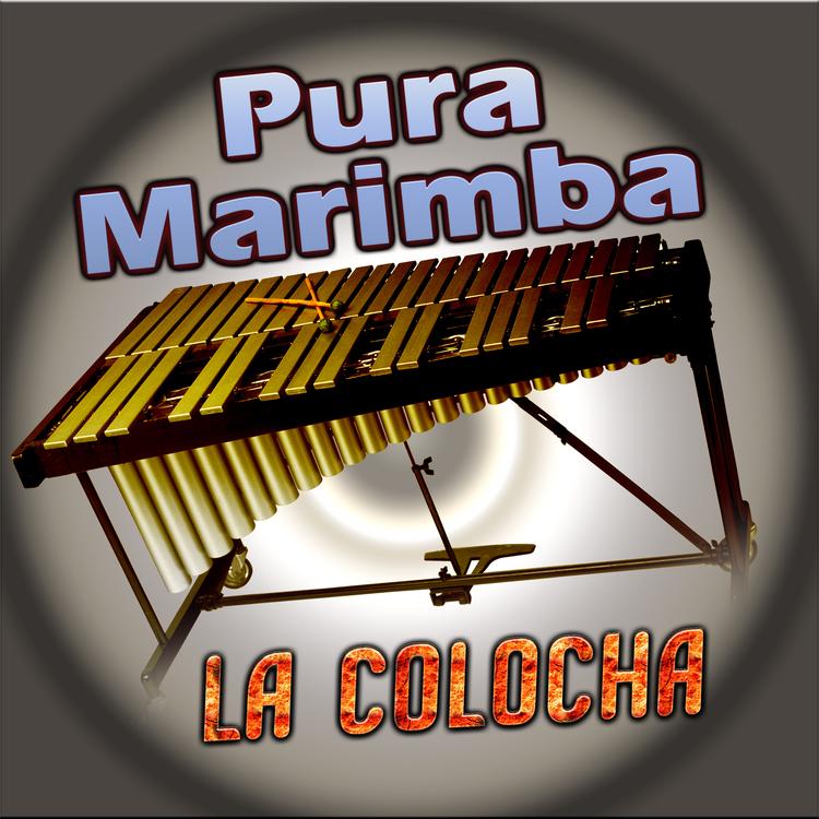 Pura Marimba's avatar image