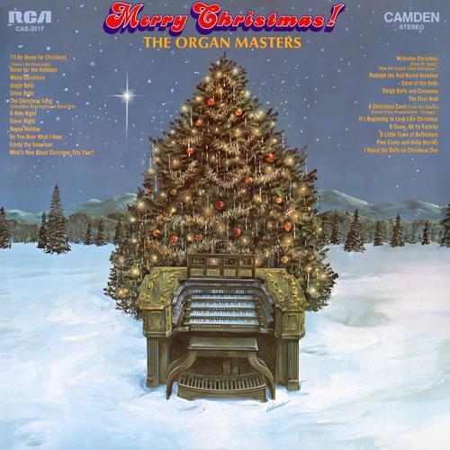 Merry Christmas Official Tiktok Music
