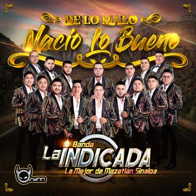 De Lo Malo Nacio Lo Bueno's cover