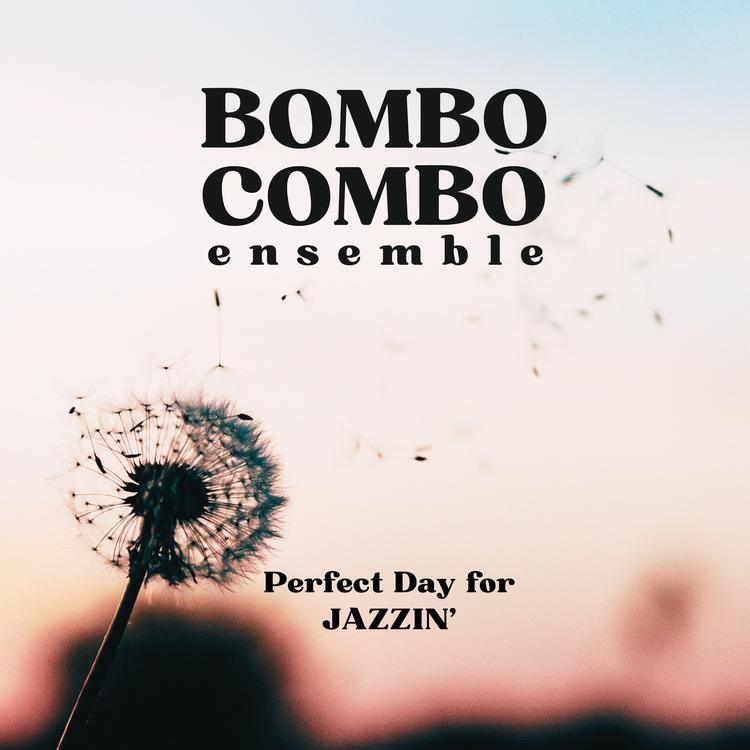Bombo Combo Ensemble's avatar image
