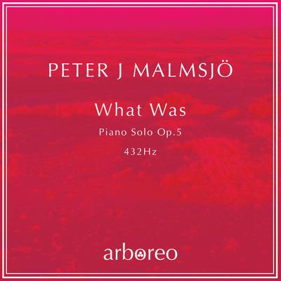 What Was By Peter J. Malmsjö's cover