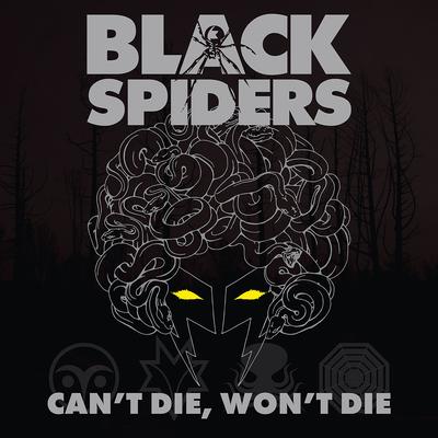 Destroyer By Black Spiders's cover