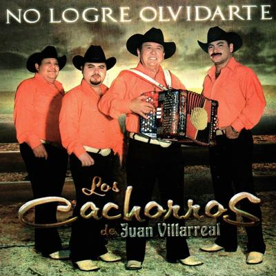 No Logre Olvidarte's cover