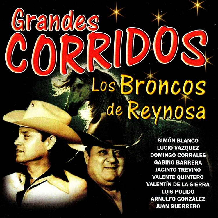 Los Broncos de Reynosa's avatar image