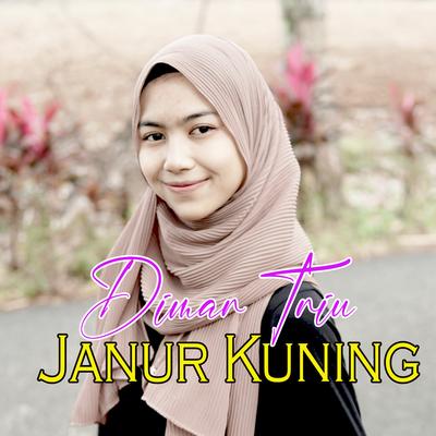Janur Kuning's cover