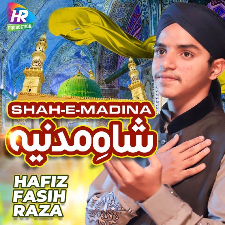 Hafiz Fasih Raza's avatar image