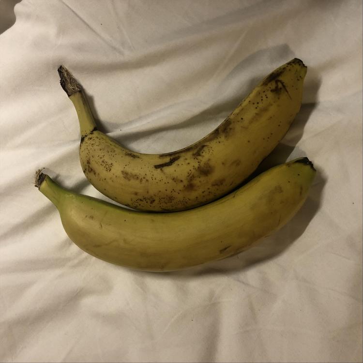Bellissimo Bananas's avatar image