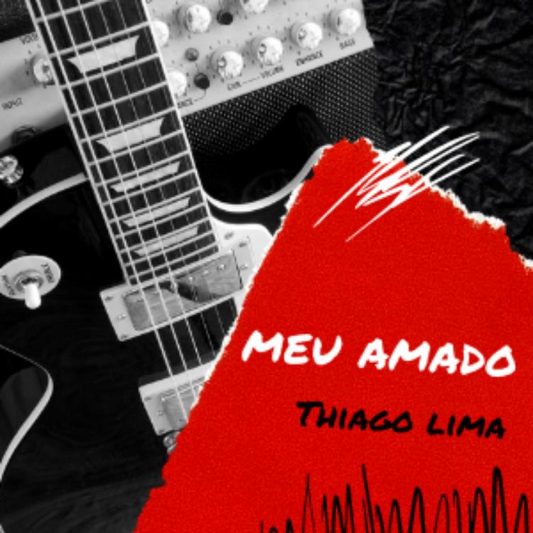 Thiago da Silva Lima's avatar image