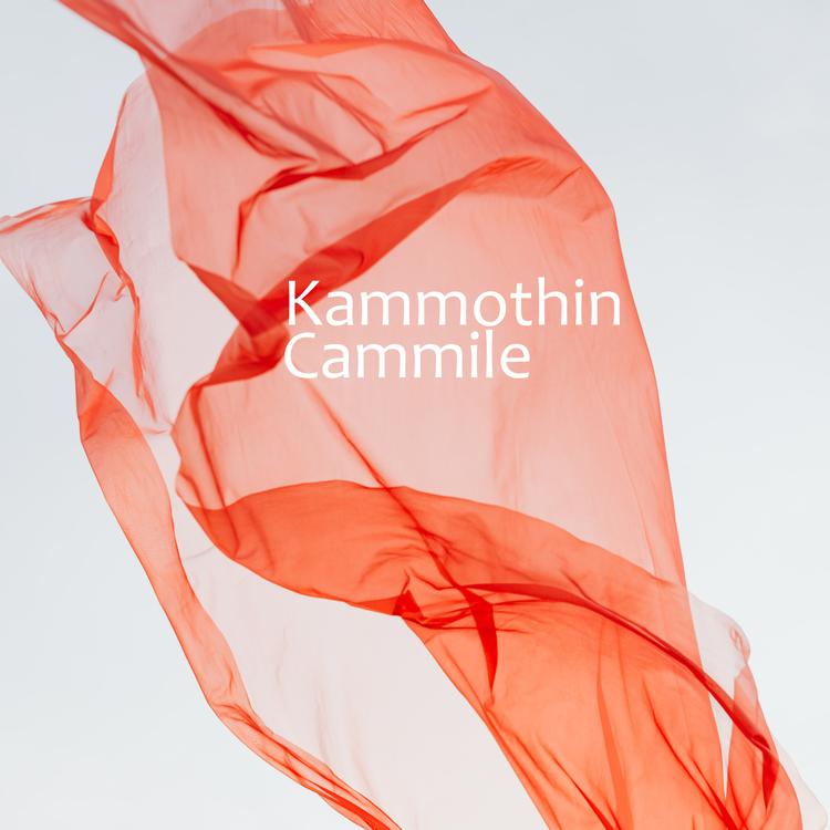 Kammothin's avatar image