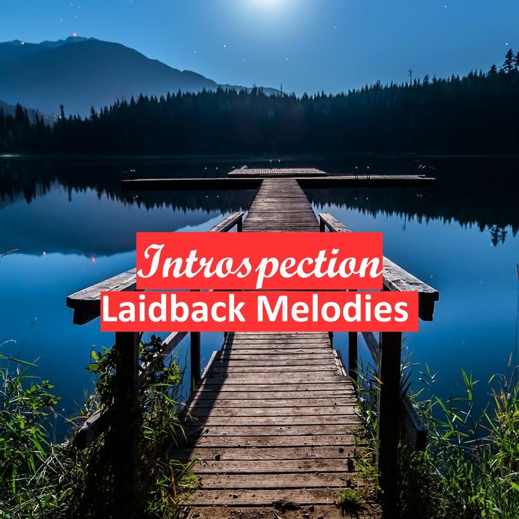 Laidback Melodies's avatar image