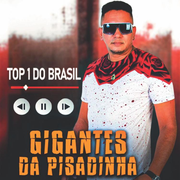 GIGANTES DA PISADINHA's avatar image