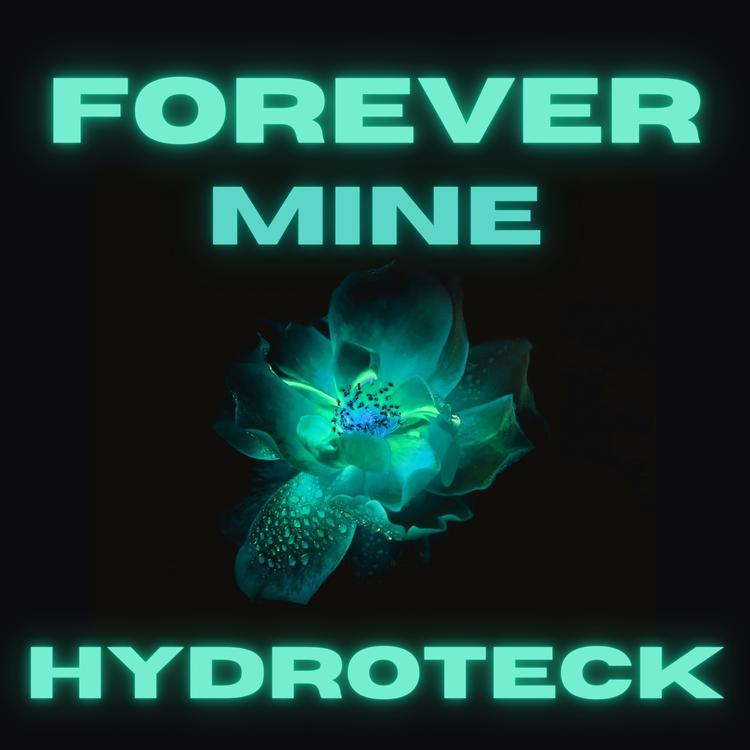 HydroTeck's avatar image