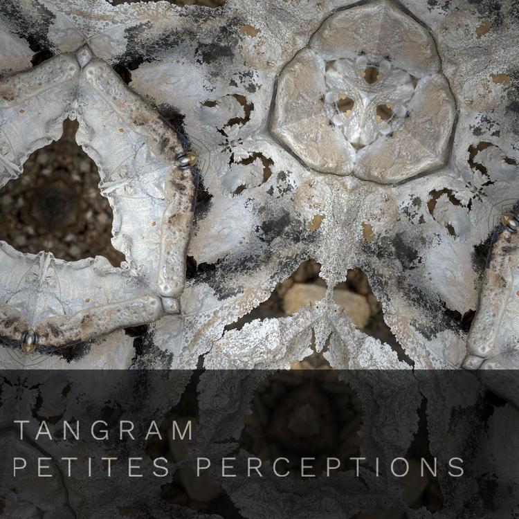Tangram's avatar image