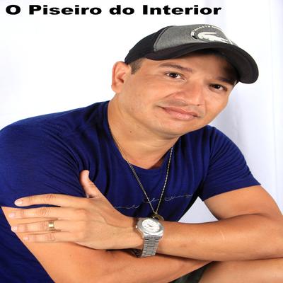 O Piseiro do Interior By Junior Play's cover