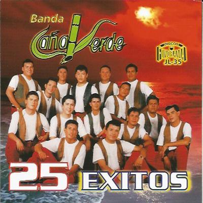 25 Exitos's cover