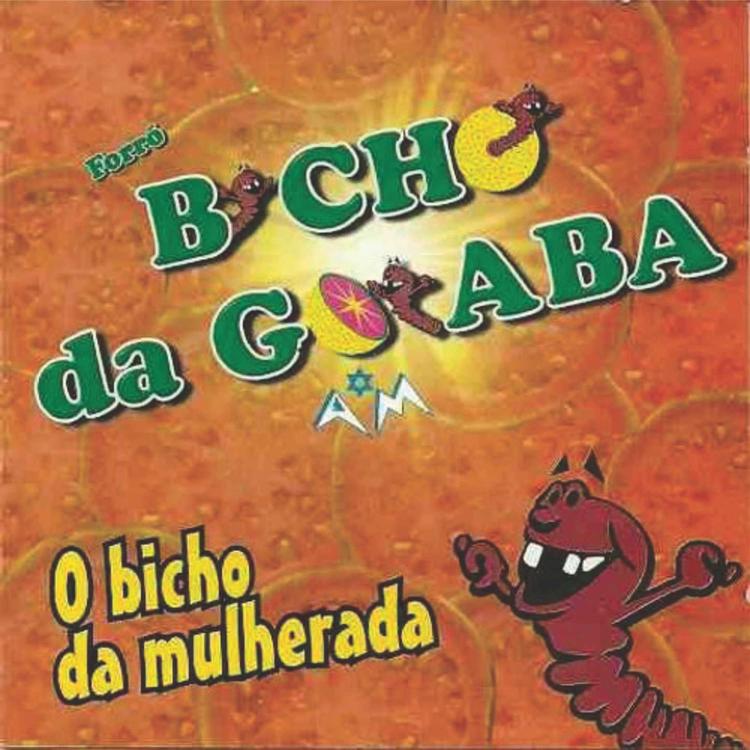 Forró Bicho da Goiaba's avatar image