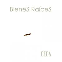 Bienes Raices's avatar cover