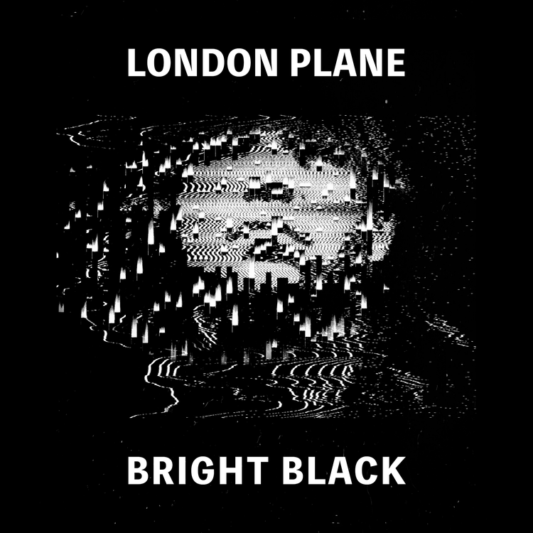 London Plane's avatar image