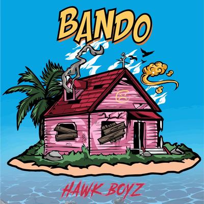 Hawk Boyz's cover