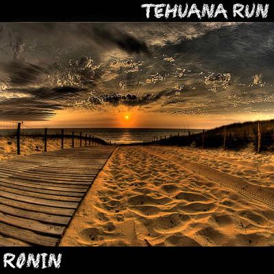 Tehuana Run's cover