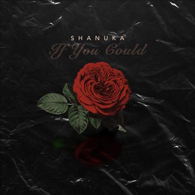 If You Could By Shanuka's cover