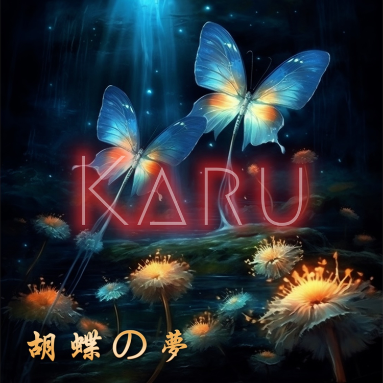 Karu's avatar image