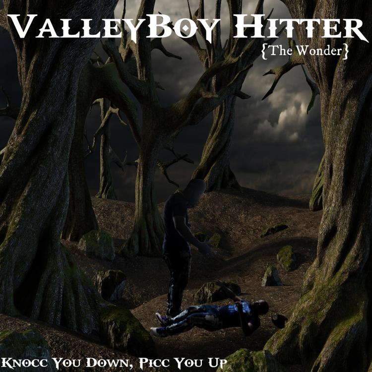 ValleyBoy Hitter's avatar image