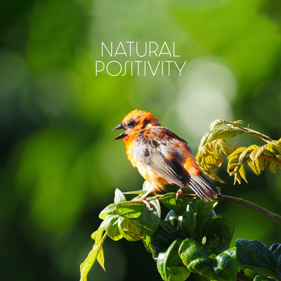 Natural Positivity (Lowering Stress Birds & Nature Sounds)'s cover