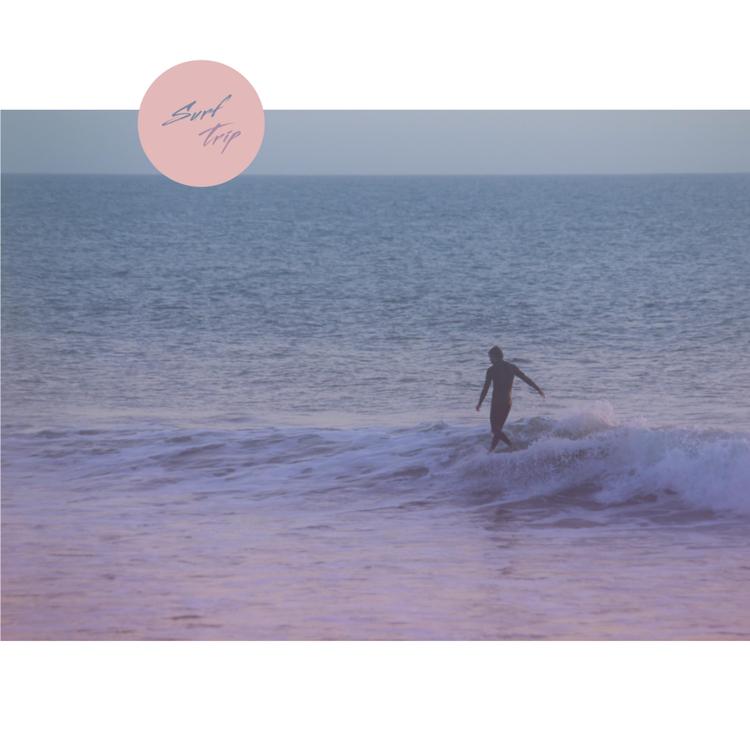 Surf Trip's avatar image