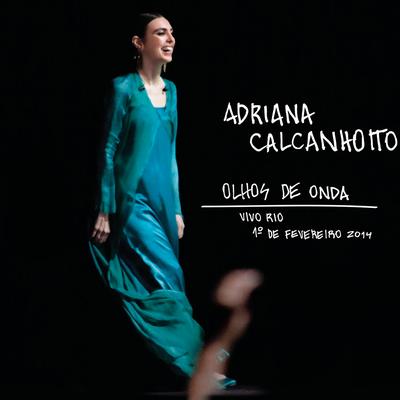Me dê Motivo (Ao Vivo) By Adriana Calcanhotto's cover