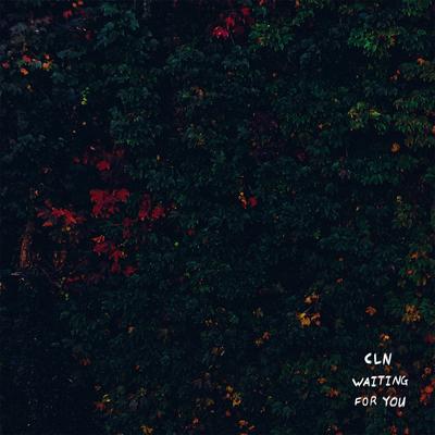 Waiting for You By CLN's cover