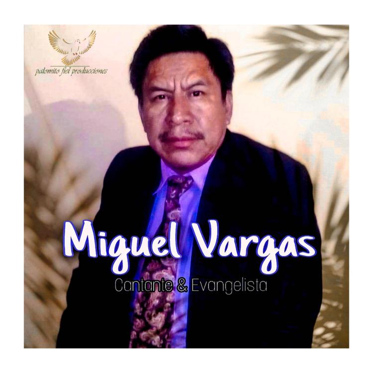 Miguel Vargas's avatar image