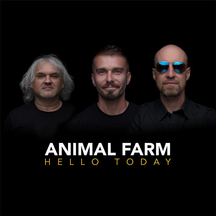 Animal Farm's avatar image