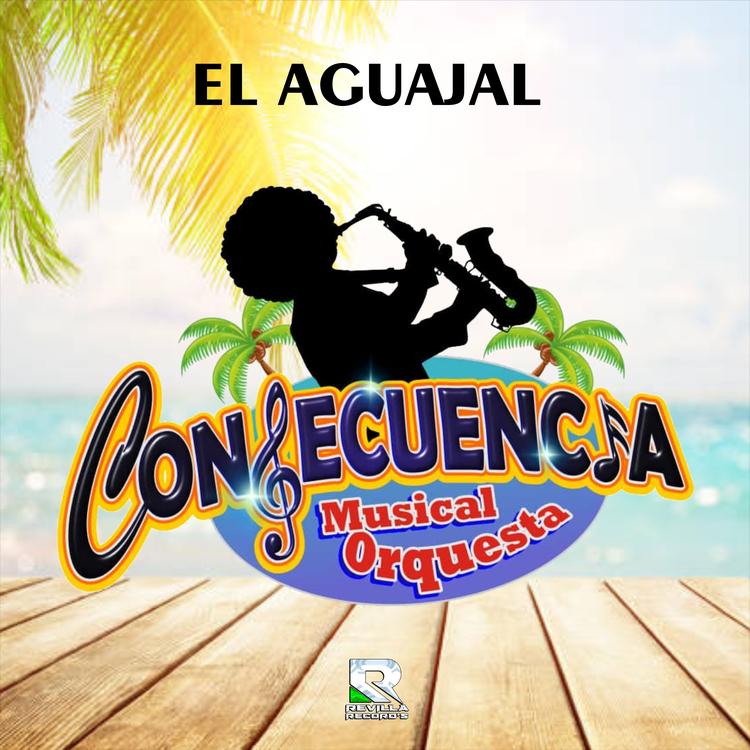 CONSECUENCIA MUSICAL ORQUESTA's avatar image