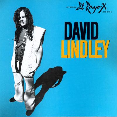 Mercury Blues By David Lindley's cover