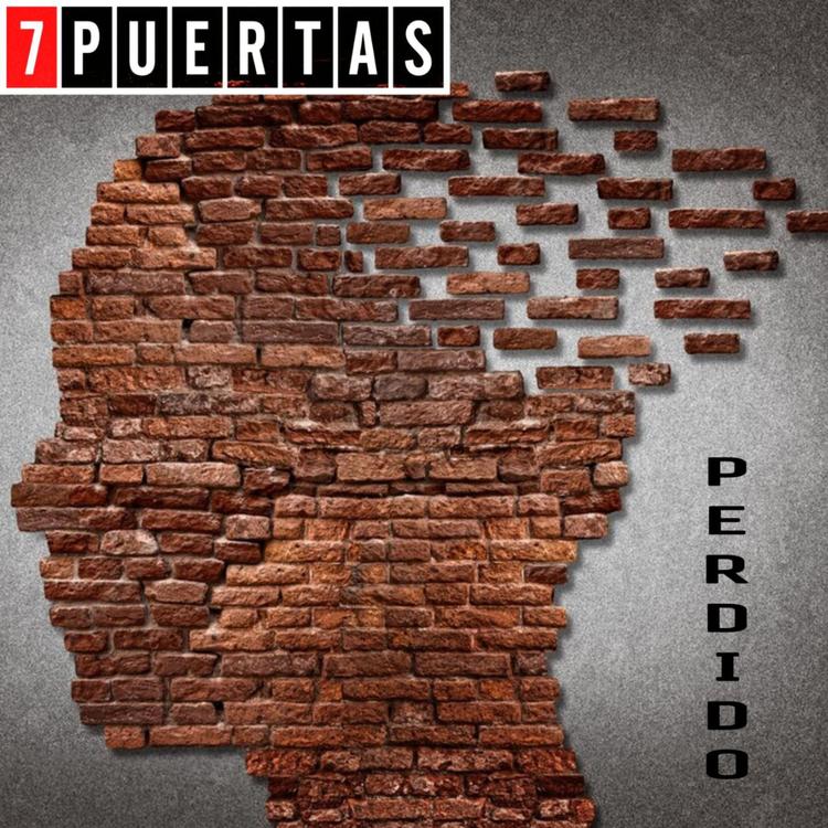 7 Puertas's avatar image