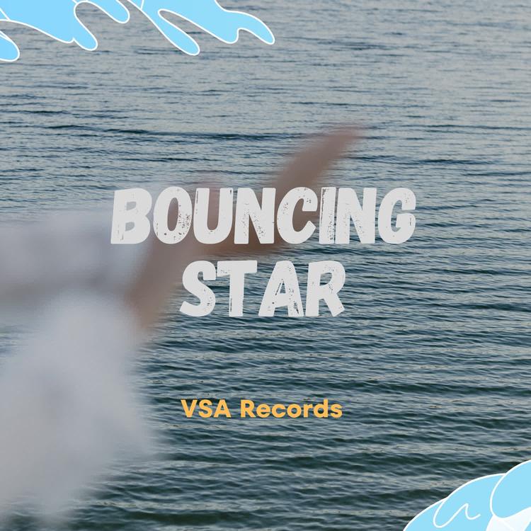 Vsa Records's avatar image