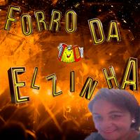 Elzinha Pisadinha's avatar cover