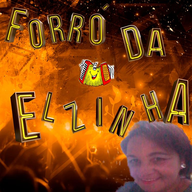 Elzinha Pisadinha's avatar image