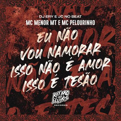 Eu Não Vou Namorar, Isso Não É Amor Isso É Tesão By MC Menor MT, dj ery, JC NO BEAT, MC Pelourinho's cover