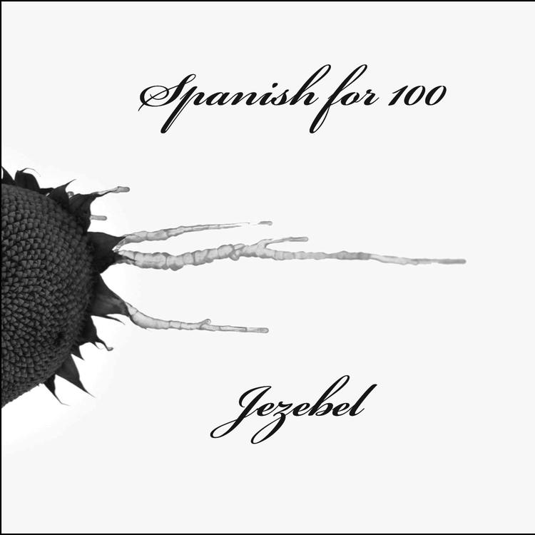 Spanish for 100's avatar image