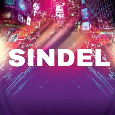 Sindel's cover