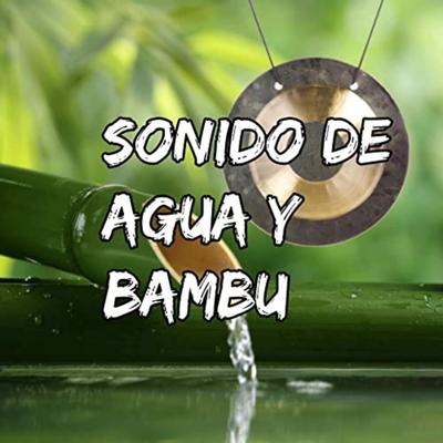 Sonidos De Agua De Bambú By Relajación's cover